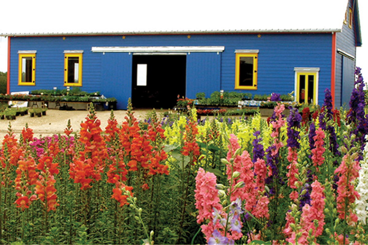 Barn and flowers
