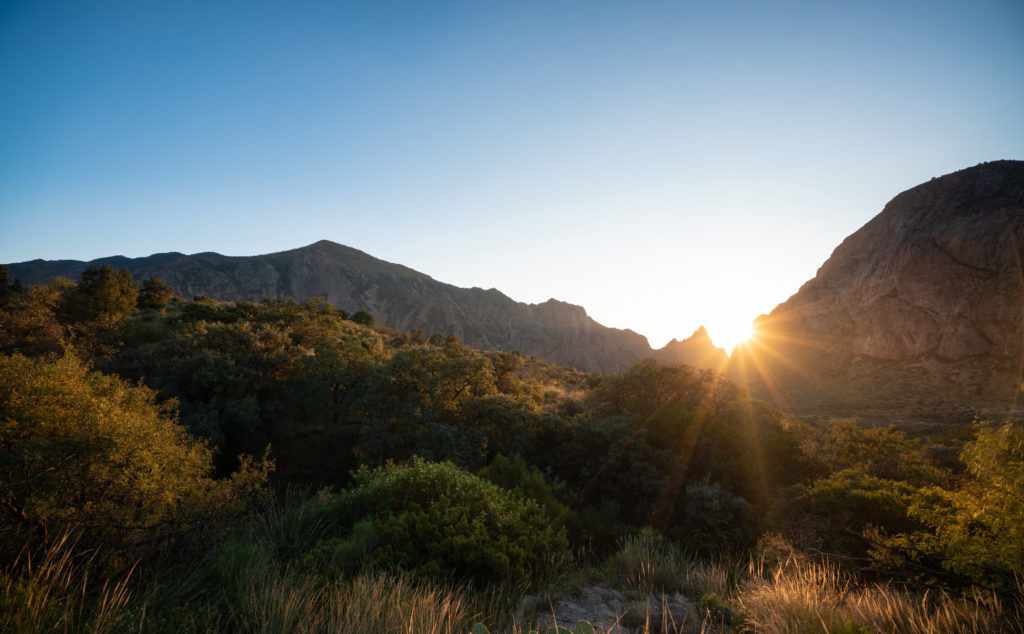 big bend np basin1